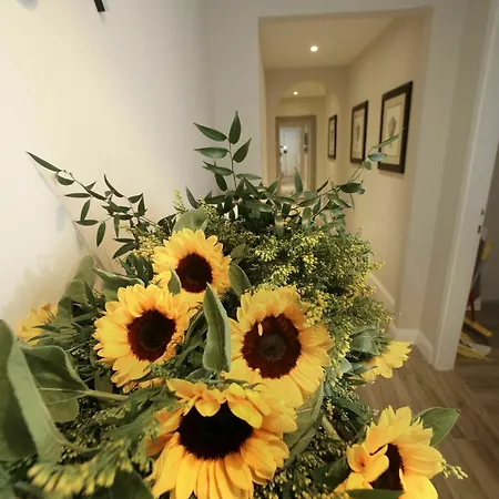 Alderotti Konukevi Floransa
